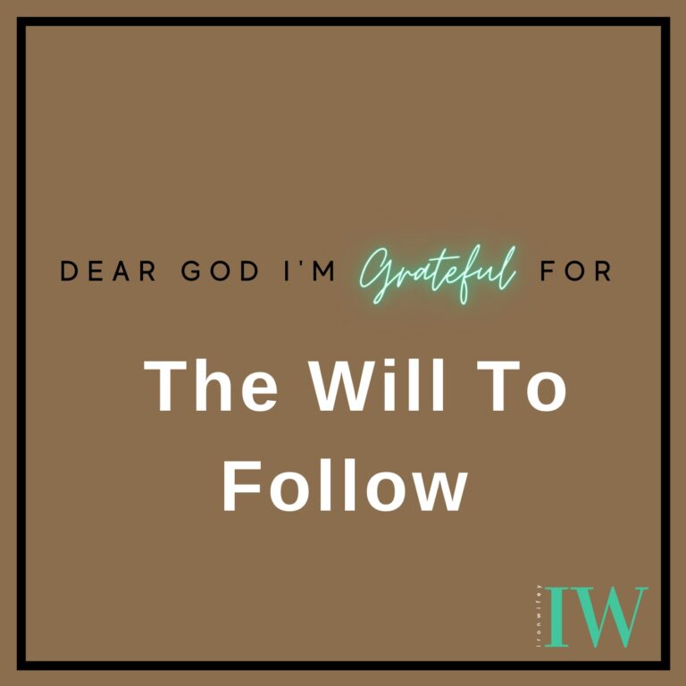 Day #129 – The Will To Follow