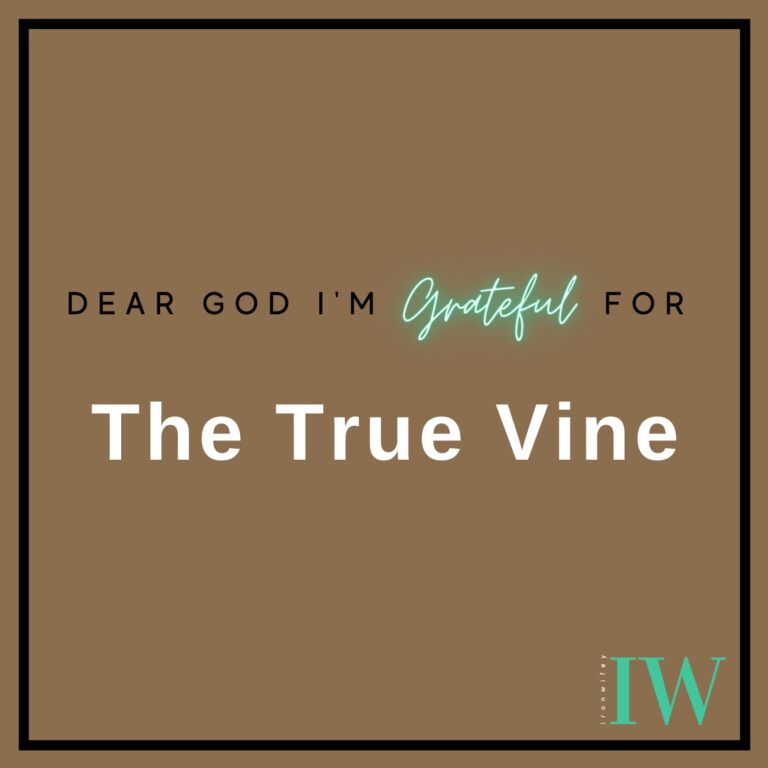 Day #161 – The True Vine