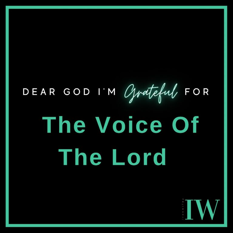 Day #216 – The Voice Of The Lord