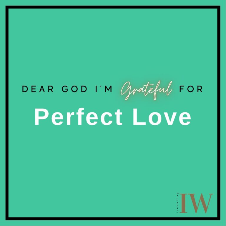 Day #219 – Perfect Love