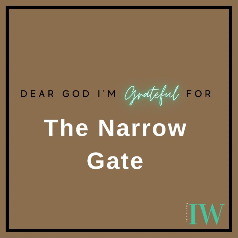 Day #213 – The Narrow Gate