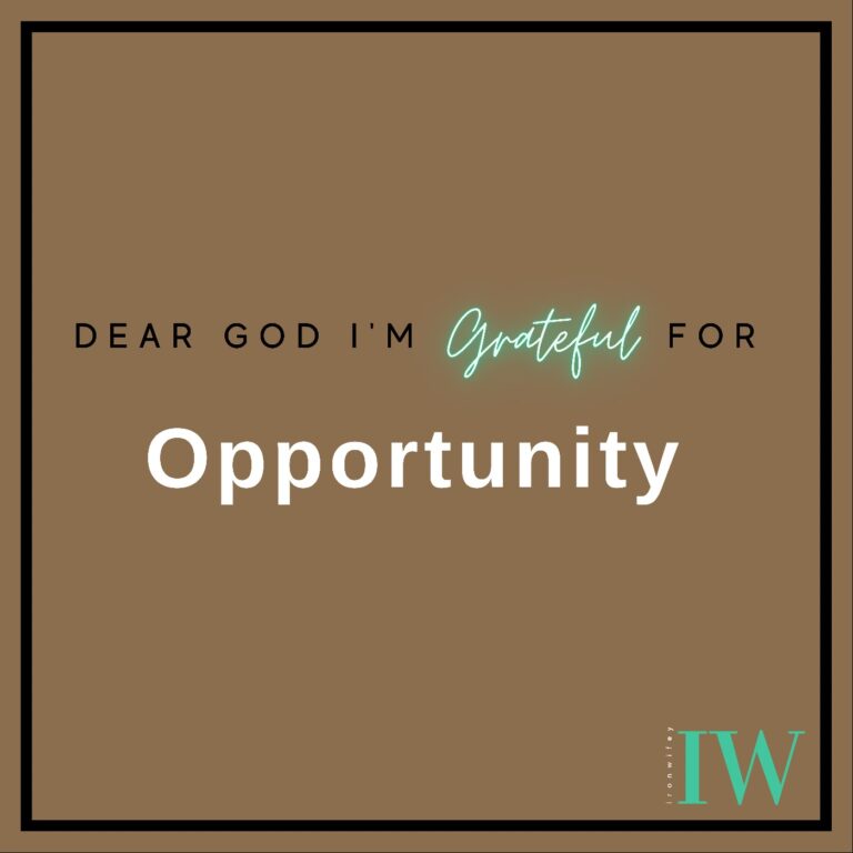 Day #209 – Opportunity