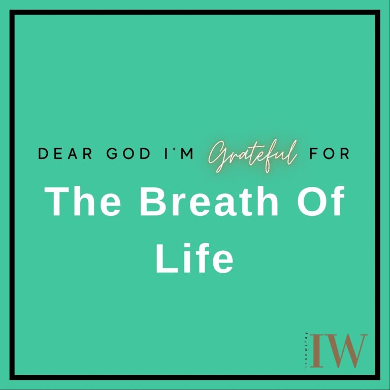 Day #235 – Breath Of Life