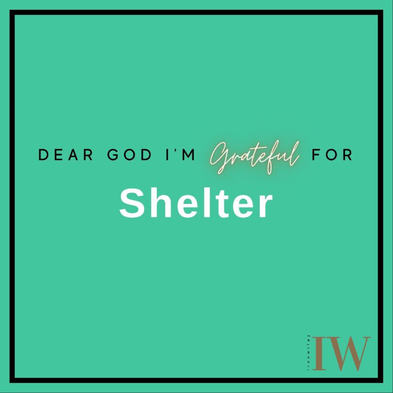 Day #251 – Shelter