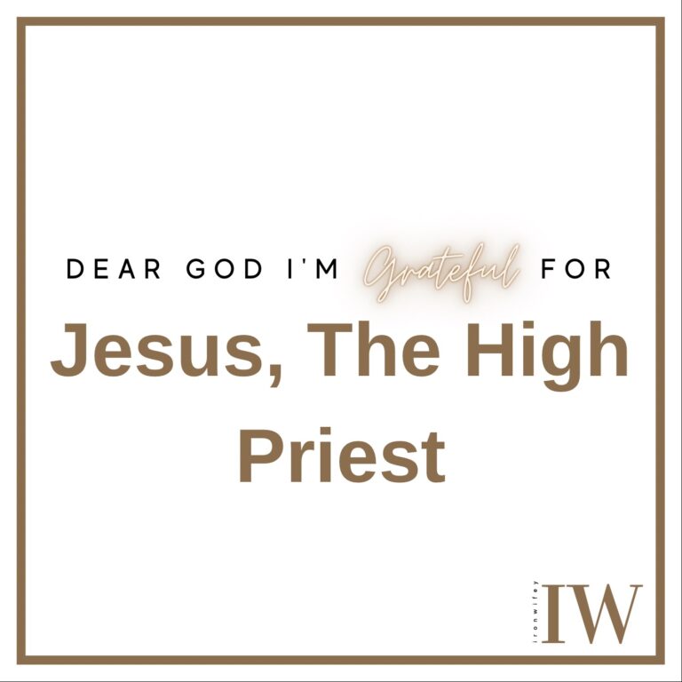 Day #298 – Jesus, The High Priest