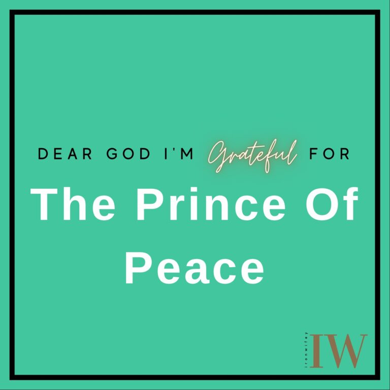 Day #303 – The Prince Of Peace