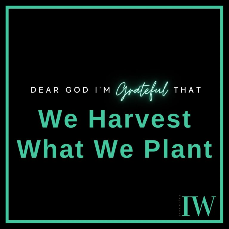 Day #308 – We Harvest What We Plant