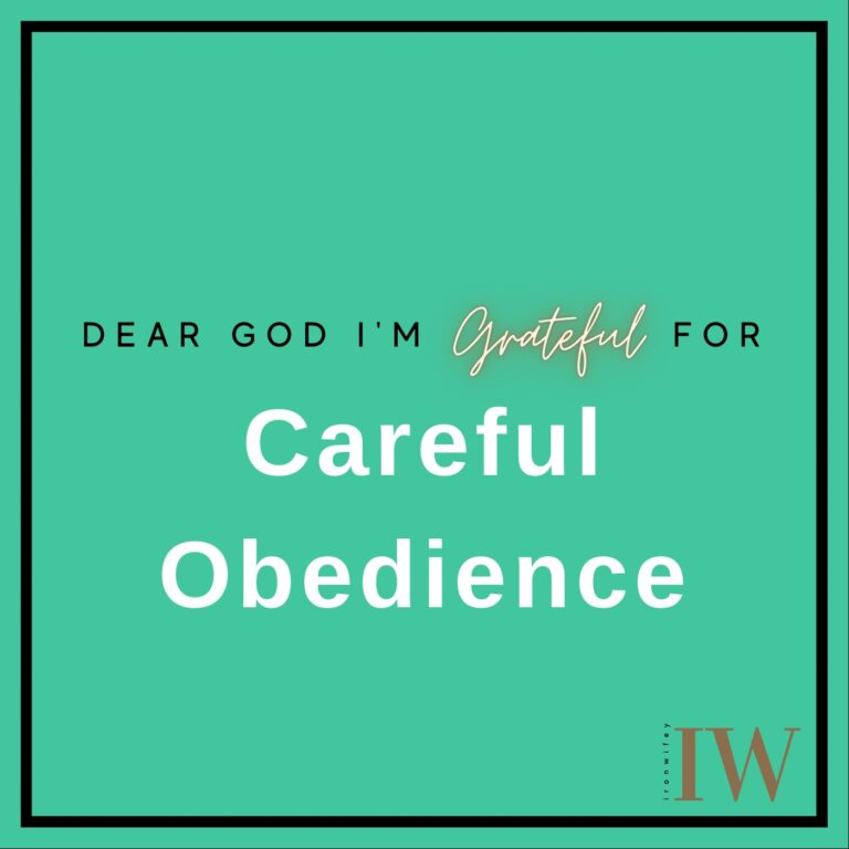 Day #327 – Careful Obedience