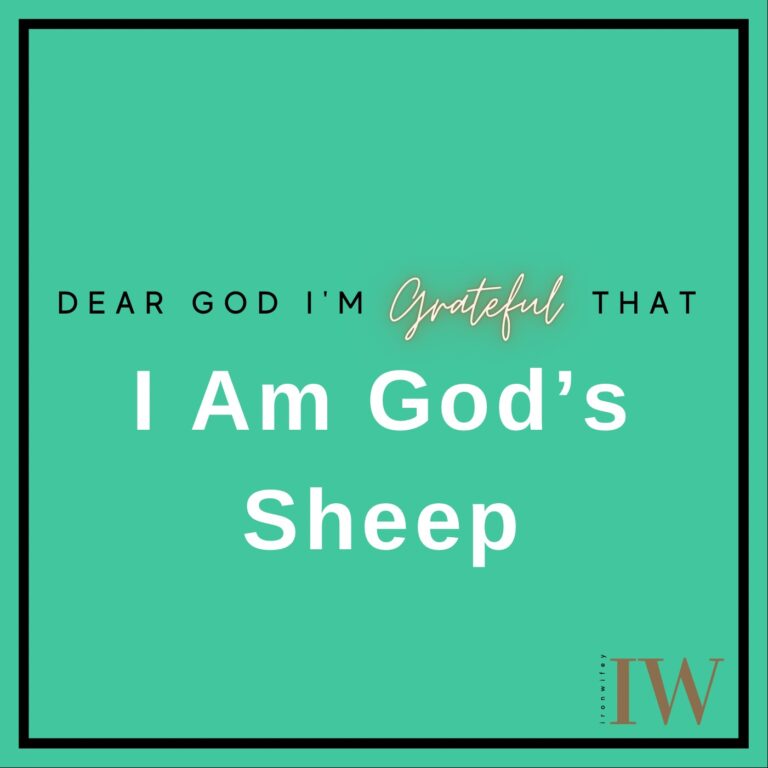 Day #359 – I Am God’s Sheep