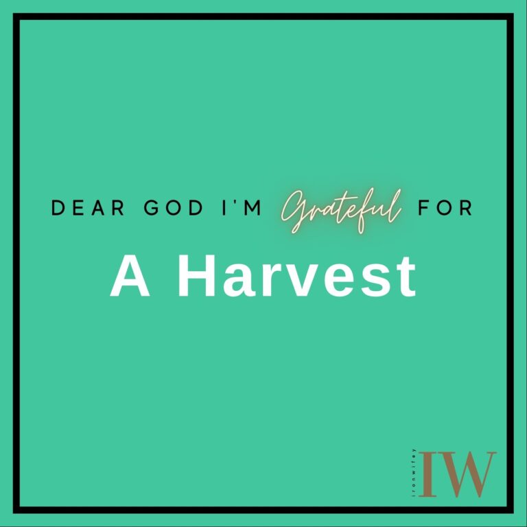 Day #363 – A Harvest