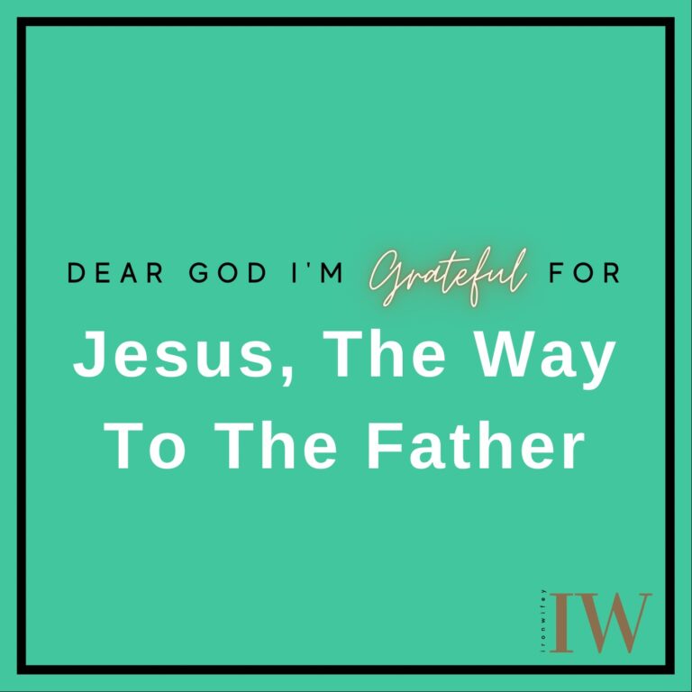 Day #460 – Jesus, the Way To The Father