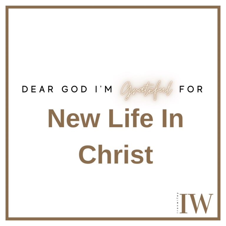 Day #494 – New Life In Christ