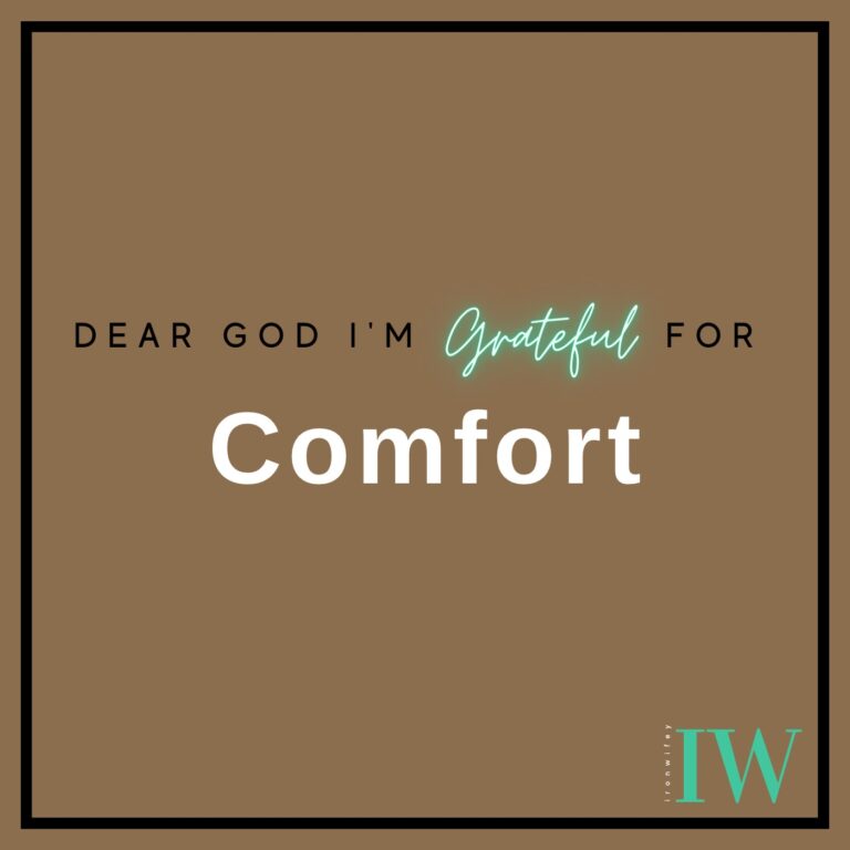 Day #509 – Comfort