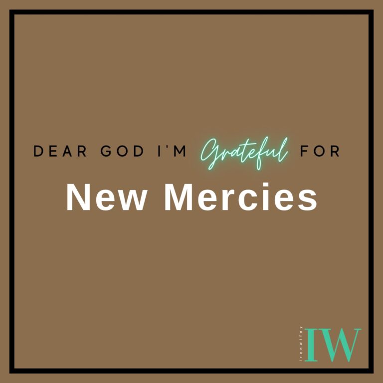 Day #533 – New Mercies